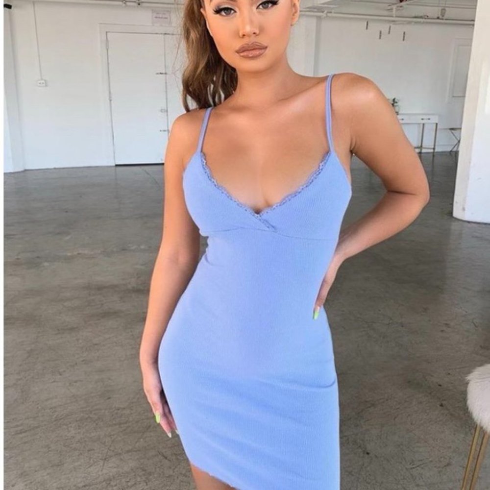 Tiger Mist Gerbera Dress Blue NWOT